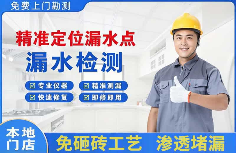 阳西精准测漏点